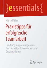 Praxistipps für erfolgreiche Teamarbeit - Marco Meier - E-Book