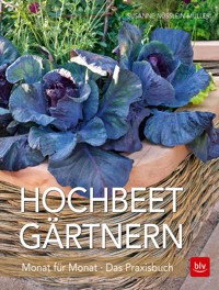Hochbeet-Gärtnern Monat für Monat - Susanne Nüsslein-Müller - E-Book