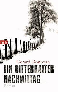 Ein bitterkalter Nachmittag - Gerard Donovan - E-Book