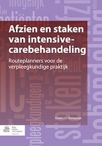 Afzien en staken van intensive-carebehandeling - Erwin J. O. Kompanje - E-Book