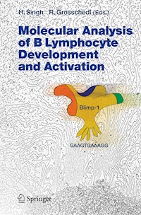 Molecular Analysis of B Lymphocyte Development and Activation -  - E-Book