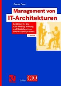 Management von IT-Architekturen - Gernot Dern - E-Book