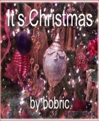 It's Christmas - Bob Ric - E-Book