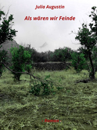 Als wären wir Feinde - Julia Augustin - E-Book