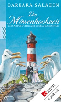 Die Möwenhochzeit - Barbara Saladin - E-Book