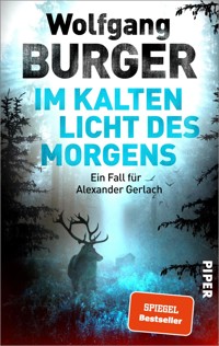 Im kalten Licht des Morgens - Wolfgang Burger - E-Book