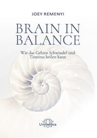 Brain in Balance - Joey Remenyi - E-Book