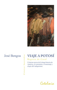 Viaje a Potosí - José Bengoa - E-Book