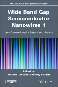 Wide Band Gap Semiconductor Nanowires 1 - Vincent Consonni - E-Book