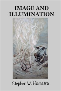 Image and Illumination - Stephen W. Hiemstra - E-Book