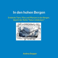 In den hohen Bergen - Andrea Stopper - E-Book