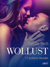 Wollust - 17 erotische Novellen - Camille Bech - E-Book