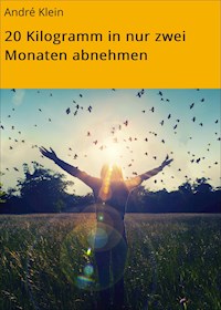 20 Kilogramm in nur zwei Monaten abnehmen - André Klein - E-Book