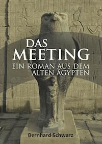 Das Meeting - Bernhard Schwarz - E-Book