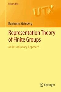 Representation Theory of Finite Groups - Benjamin Steinberg - E-Book