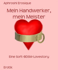 Mein Handwerker, mein Meister - Aphroshi Erosique - E-Book