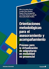 Orientaciones metodológicas para el asesoramiento y acompañamiento - Silvia Lavandera Ponce - E-Book