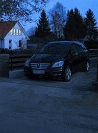 Familienkutsche - Cora Buhlert - E-Book