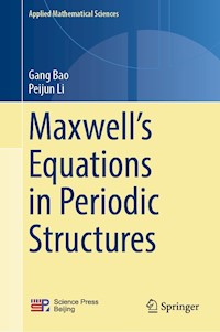 Maxwell’s Equations in Periodic Structures - Gang Bao - E-Book