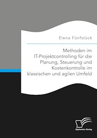 Methoden im IT-Projektcontrolling für die Planung, Steuerung und Kostenkontrolle im klassischen und agilen Umfeld - Elena Fünfstück - E-Book