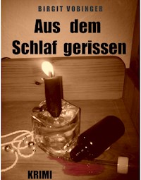 Aus dem Schlaf gerissen - Birgit Vobinger - E-Book