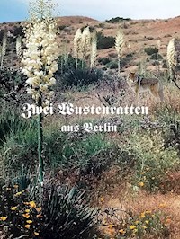 Zwei Wüstenratten aus Berlin - Renate Witte - E-Book