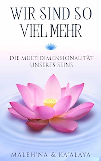 Wir sind so viel mehr - Ramona Maleh'na Prillwitz - E-Book