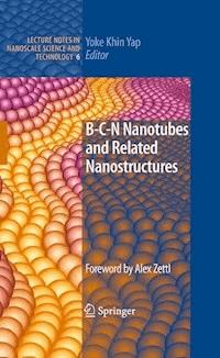 B-C-N Nanotubes and Related Nanostructures - - E-Book