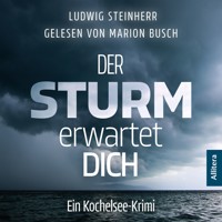 Der Sturm erwartet Dich - Ludwig Steinherr - Hörbuch