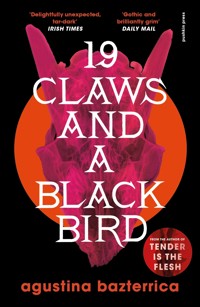 Nineteen Claws and a Black Bird - Agustina Bazterrica - E-Book