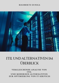 ITIL und Alternativen  im Überblick - Rigoberto Zuniga - E-Book