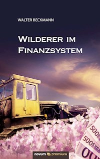 Wilderer im Finanzsystem - Walter Beckmann - E-Book