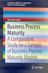 Business Process Maturity - Amy Van Looy - E-Book