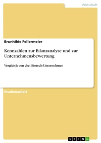 Kennzahlen zur Bilanzanalyse und zur Unternehmensbewertung - Brunhilde Fellermeier - E-Book