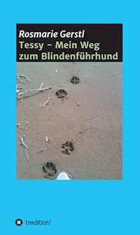 Tessy - Mein Weg zum Blindenführhund - Rosmarie Gerstl - E-Book