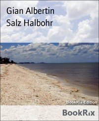 Salz Halbohr - Gian Albertin - E-Book