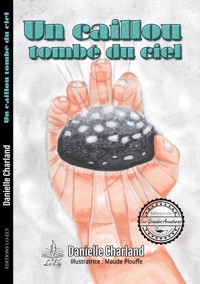 Caillou tombé du ciel - Danielle Charland - E-Book