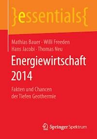 Energiewirtschaft 2014 - Mathias Bauer - E-Book
