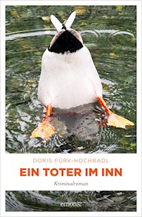 Ein Toter im Inn - Doris Fürk-Hochradl - E-Book