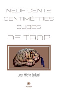 Neuf cents centimètres cubes de trop - Jean Michel Zurletti - E-Book