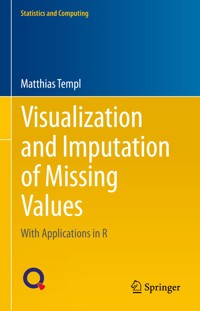 Visualization and Imputation of Missing Values - Matthias Templ - E-Book