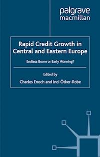 Rapid Credit Growth in Central and Eastern Europe - Charles Enoch - E-Book