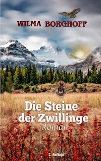 Die Steine der Zwillinge - Wilma Borghoff - E-Book