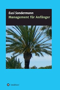 Management für Anfänger - Eusi Sondermann - E-Book