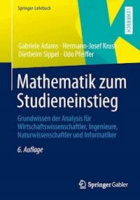 Mathematik zum Studieneinstieg - Gabriele Adams - E-Book