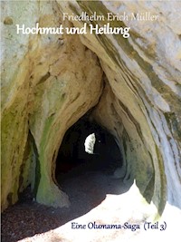 Hochmut und Heilung - Friedhelm Erich Müller - E-Book