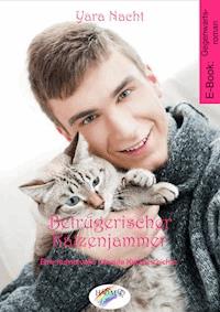 Betrügerischer Katzenjammer - Yara Nacht - E-Book