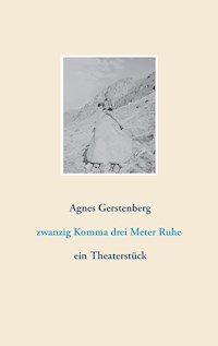 zwanzig Komma drei Meter Ruhe - Agnes Gerstenberg - E-Book