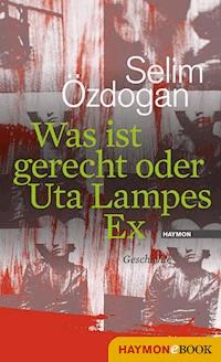 Was ist gerecht oder Uta Lampes Ex - Selim Özdogan - E-Book
