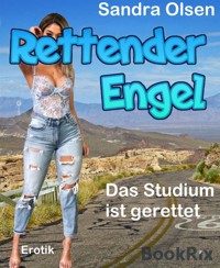 Rettender Engel - Sandra Olsen - E-Book
